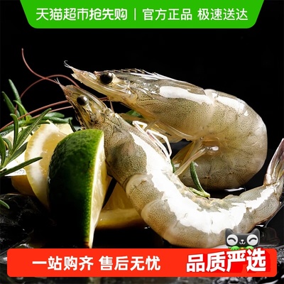 俏虾客对虾有机大虾新鲜大虾