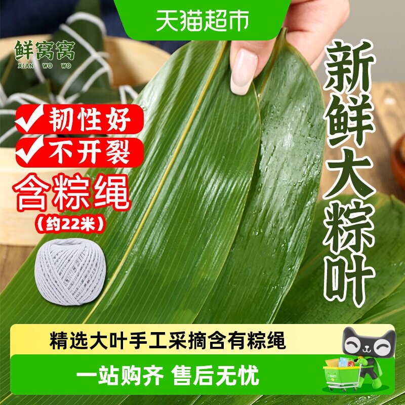 鲜窝窝含棕绳大粽叶新鲜包粽子用图片