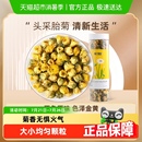 杞里香胎菊桐乡胎菊王头茬采摘40g养生花茶叶正宗菊花搭枸杞泡茶