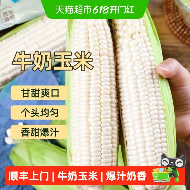 顺丰上门新鲜白糯牛奶玉米爆汁奶香现摘苞谷水果玉米粗粮整箱