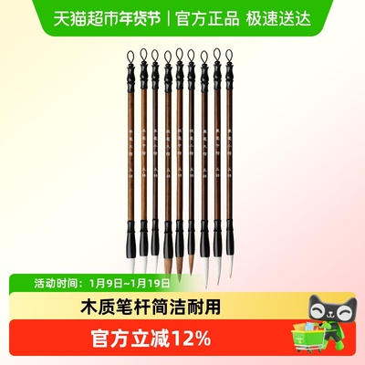 反转初学者毛笔套装