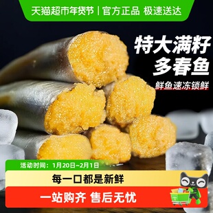 云储生活多春鱼满籽新鲜多籽鱼加拿大冷冻鲜活大号冻干海鱼烧烤