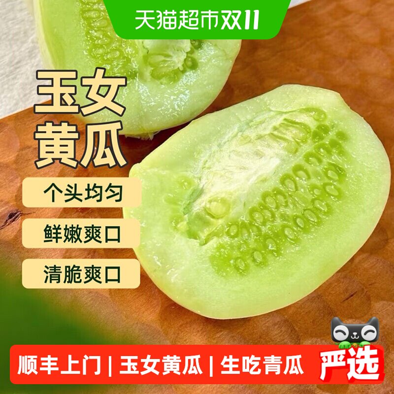 玉女黄瓜新鲜水果小黄瓜拇指黄瓜生吃青瓜现摘蔬菜整箱