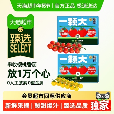 臻选一颗大樱桃番茄礼盒装