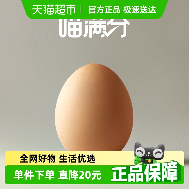 ޾ʳ20ö31.8Ԫ2(15.9Ԫ/)