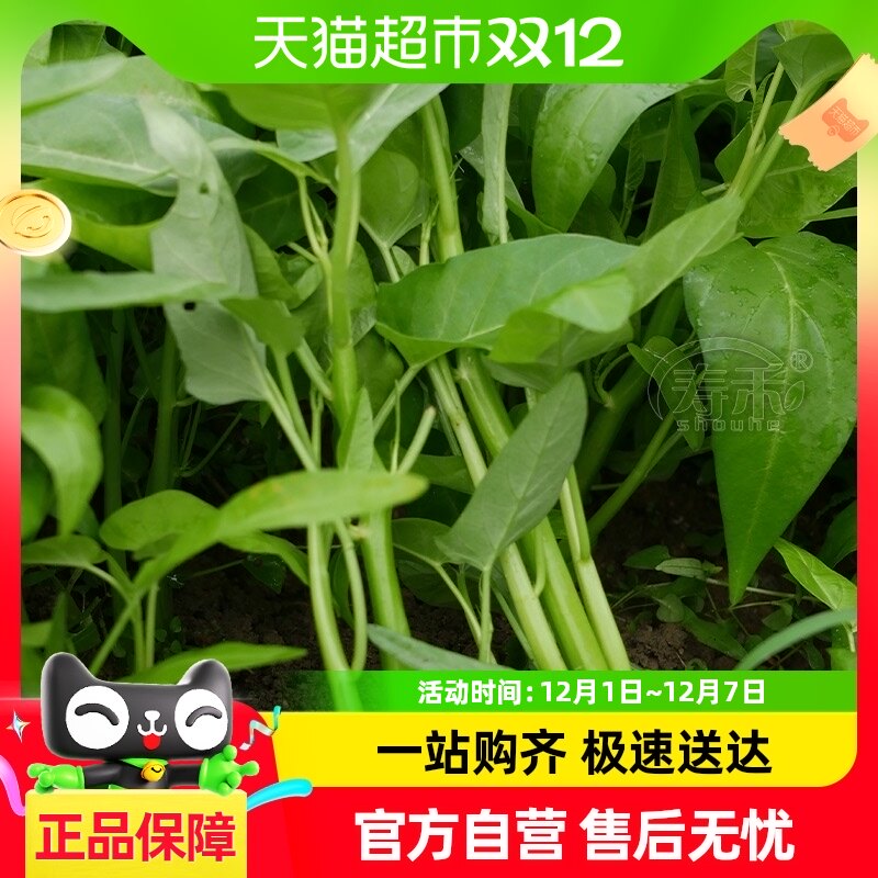 �ٺ������ǿ��Ĳ�����20g������ˮ�߲˲��ֲ���������Ҷ�ļ����