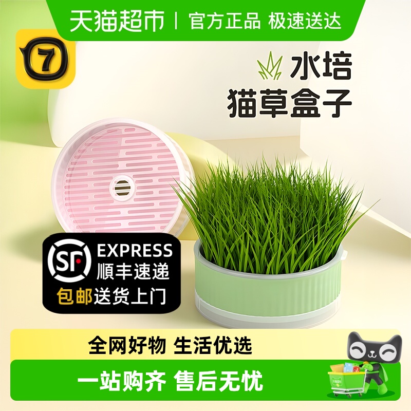 柒哦无土水培天然排毛化毛猫草片