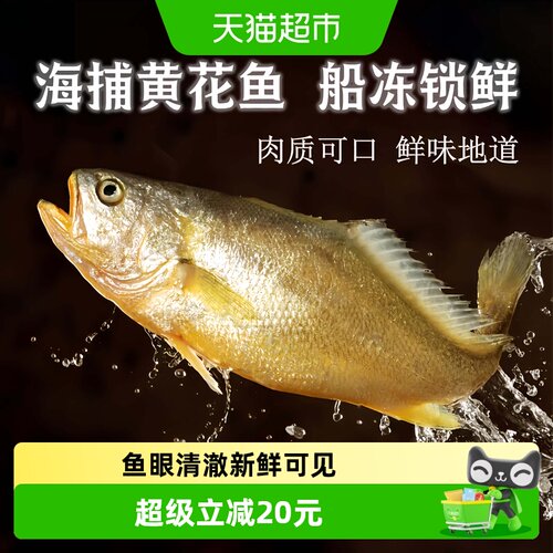 闽峡冷冻大黄鱼鲜味地道4只