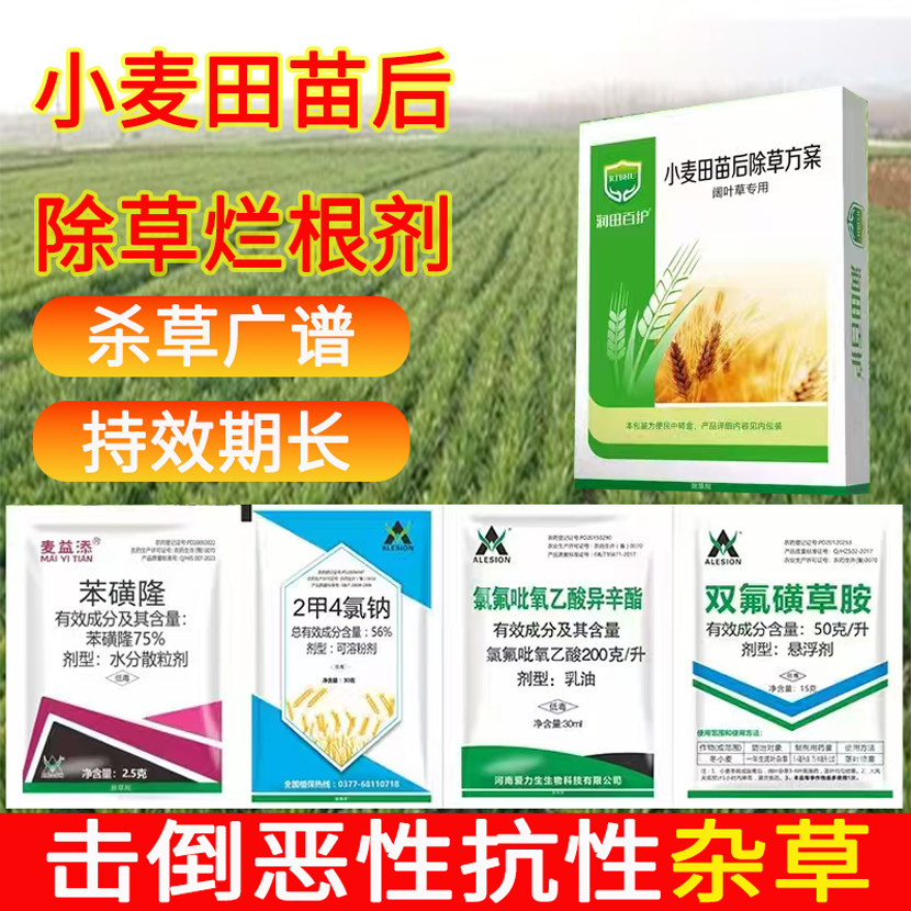 ALESION农药小麦田苗后除草猪殃殃播娘蒿专用阔叶封杀双除抗性杂草除草剂