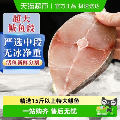 海仙部落马鲛鱼新鲜冷冻青岛特大
