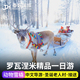 芬兰罗瓦涅米一日游圣诞老人村哈士奇拉雪橇狗拉雪橇驯鹿雪橇旅游