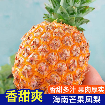 正宗海南芒果凤梨 当季新鲜热带水果整箱包邮