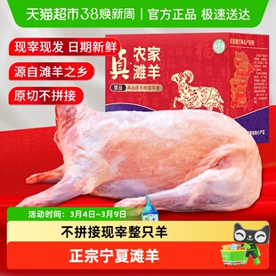 全羊整只新鲜现杀鲜切羊肉宁夏滩羊盐池羔羊腿羊排烧烤年货礼盒