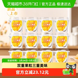 【新品上市】卡士酸奶芒果清椰果粒鲜酪乳100g*12杯风味发酵乳