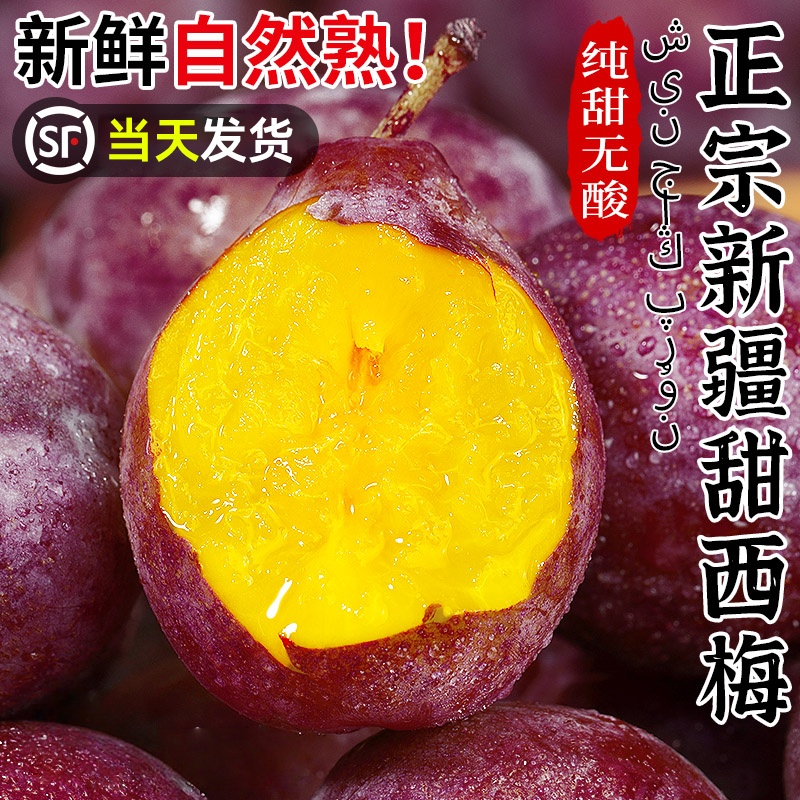 正宗新疆西梅3斤礼盒装李子新鲜水果当季喀什梅现摘整箱