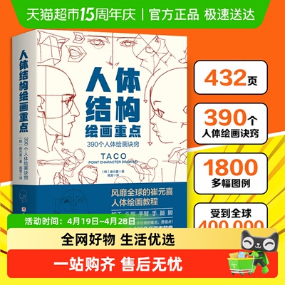 人体结构绘画重点崔元喜