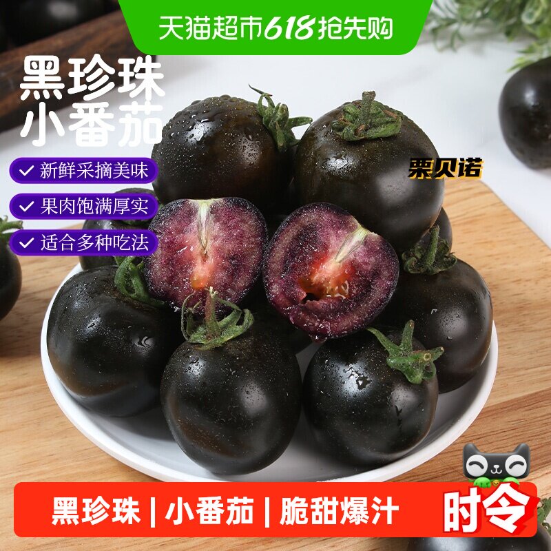 栗贝诺山东黑珍珠小番茄墨明珠紫色新鲜现摘现发酸甜多汁口感鲜美