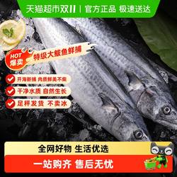 【当季新货】大鲅鱼整条鲐鲅鱼马鲛鱼青花鱼马友鱼马交鱼深海捕捞