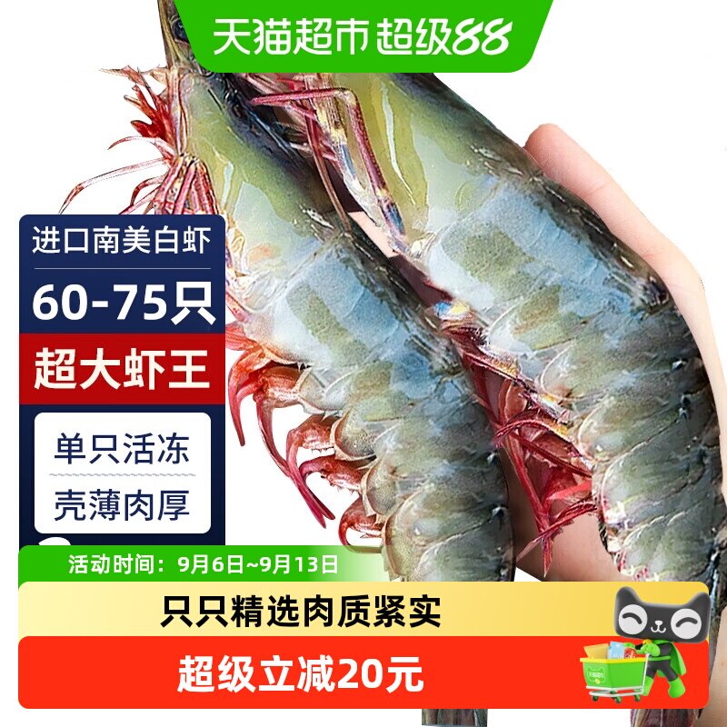 卖鱼七郎厄瓜多尔大虾个头硕大图片