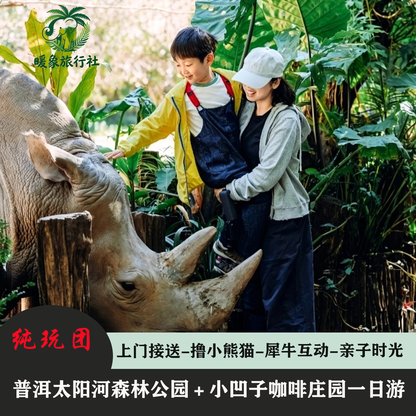 普洱出发 云南普洱小熊猫+小凹子咖啡庄园纯玩一日游 品咖啡醇香