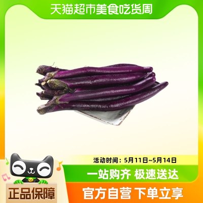 优选 紫长茄300g