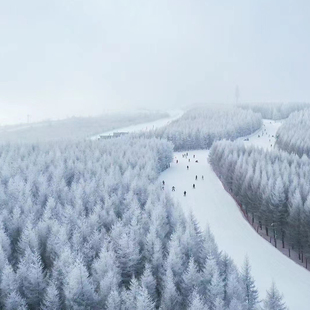 [万龙滑雪场-全天滑雪票（自带板）]2025—26雪季（仅限日场）