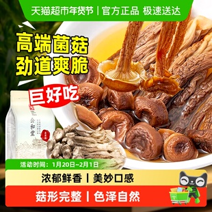 公和堂鹿茸菇干货嫩仔鹿茸菇羊肚菌嫩芽虫草花竹荪新鲜脆菇炒腊肉