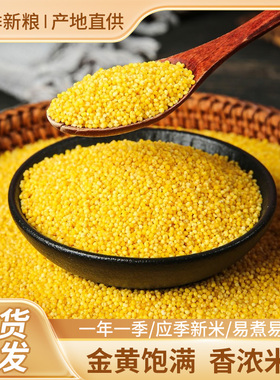 新粮黄小米小米粥伴侣薏米赤小豆五谷杂粮粥早餐米粥旱地种植米油