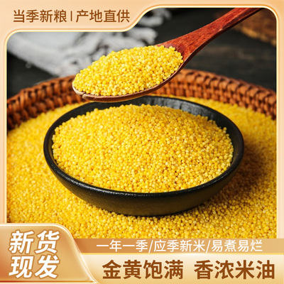 新粮黄小米小米粥伴侣薏米赤小豆五谷杂粮粥早餐米粥旱地种植米油