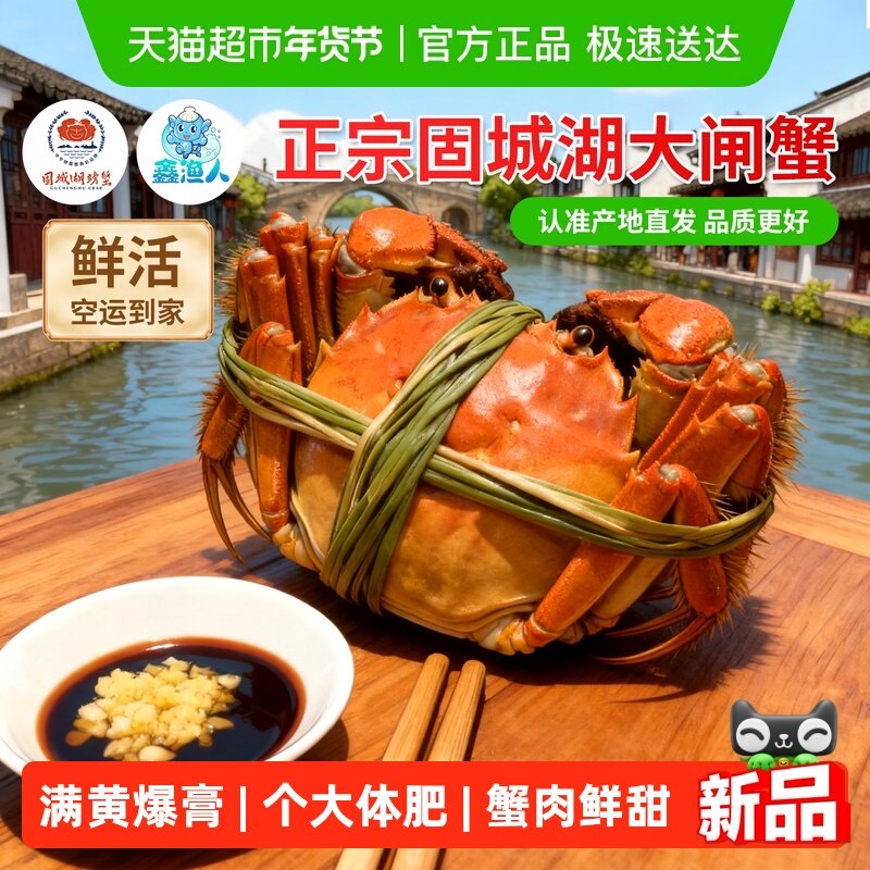 鑫渔人江苏南京固城湖大闸蟹精品蟹鲜活螃蟹特大全母公蟹送礼盒装,水产肉类/新鲜蔬果/熟食,大闸蟹,淘宝优惠券,粉丝福利购,淘宝优惠卷