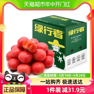绿行者小粉番茄蔬菜西红柿2.5kg生吃自然熟现采现摘