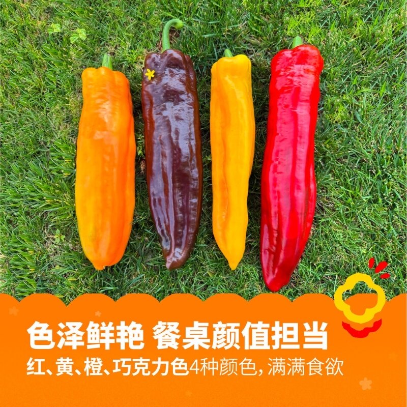 【李佳琦旅游出行专场】臻选BonBonVita甜甜维他水果彩椒 清爽脆,水产肉类/新鲜蔬果/熟食,辣椒,淘宝优惠券,粉丝福利购,淘宝优惠卷