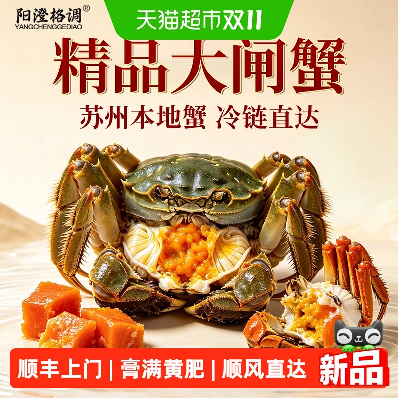 阳澄格调活蟹全母蟹鲜活大闸蟹