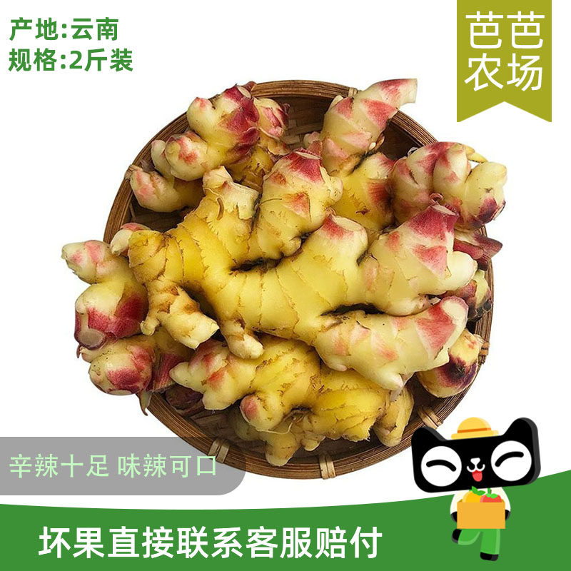 云南罗平小黄姜老姜现挖生姜农家新鲜土姜月子姜食用3斤