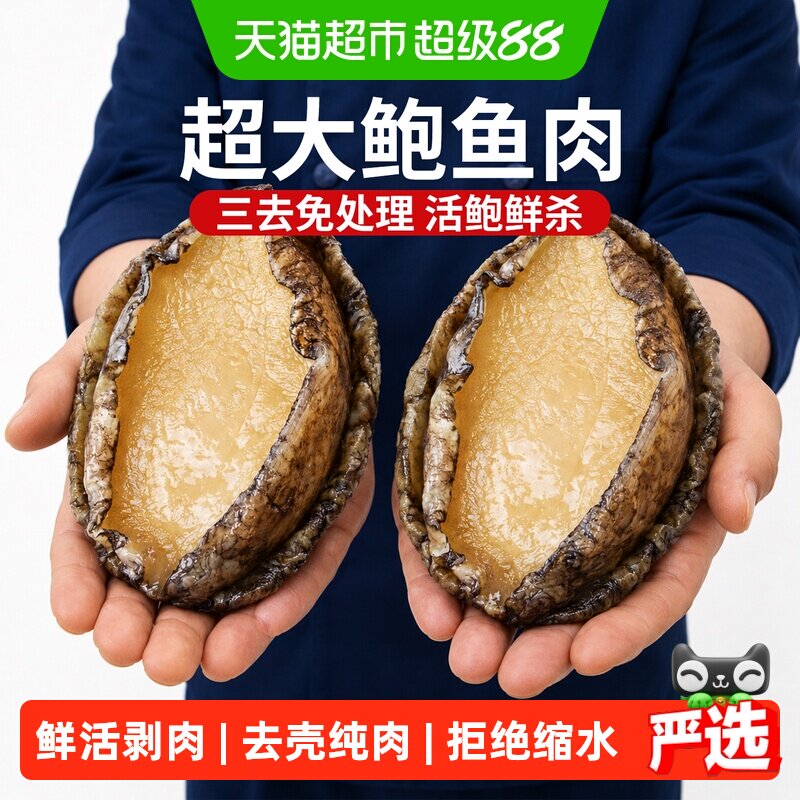 特大鲍鱼肉去牙去壳冷冻商用批发图片