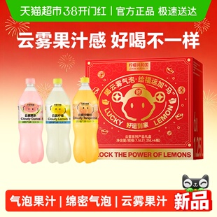 柠檬共和国(Lemon Republic)云雾气泡饮年货送礼礼盒1.25L*6瓶