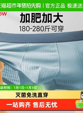 猫人男纯棉一次性内裤EO灭菌医护级3D太空舱袋独立包装日抛大码