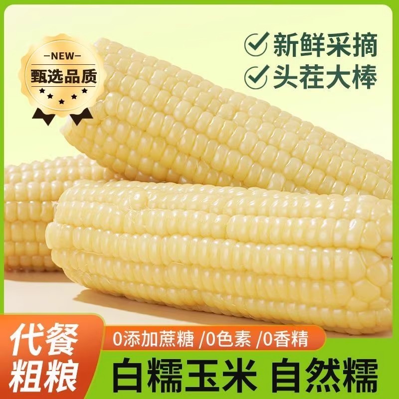 头茬东北糯玉米真空包装非转基因白糯玉棒早餐代餐粘玉米熟黏玉米