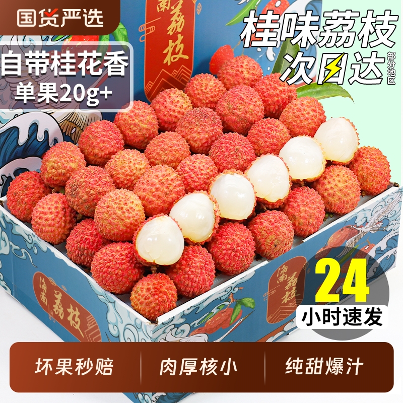 【25年新果】正宗纯甜桂味荔枝