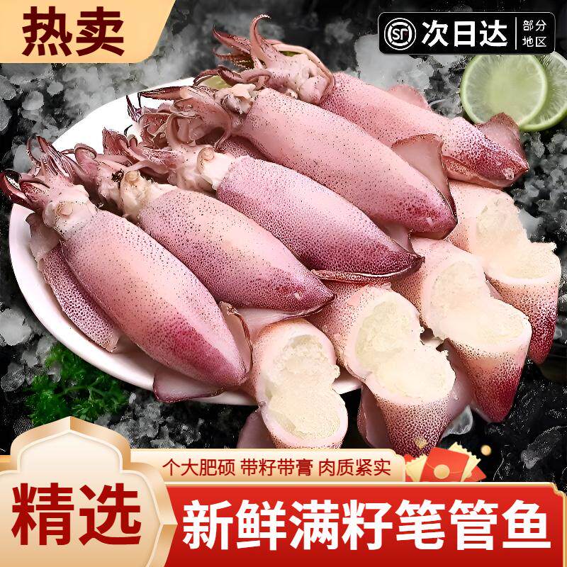 满籽笔管鱼带籽水产熟冻套餐新鲜特大籽乌海兔子小鱿鱼顺丰包邮