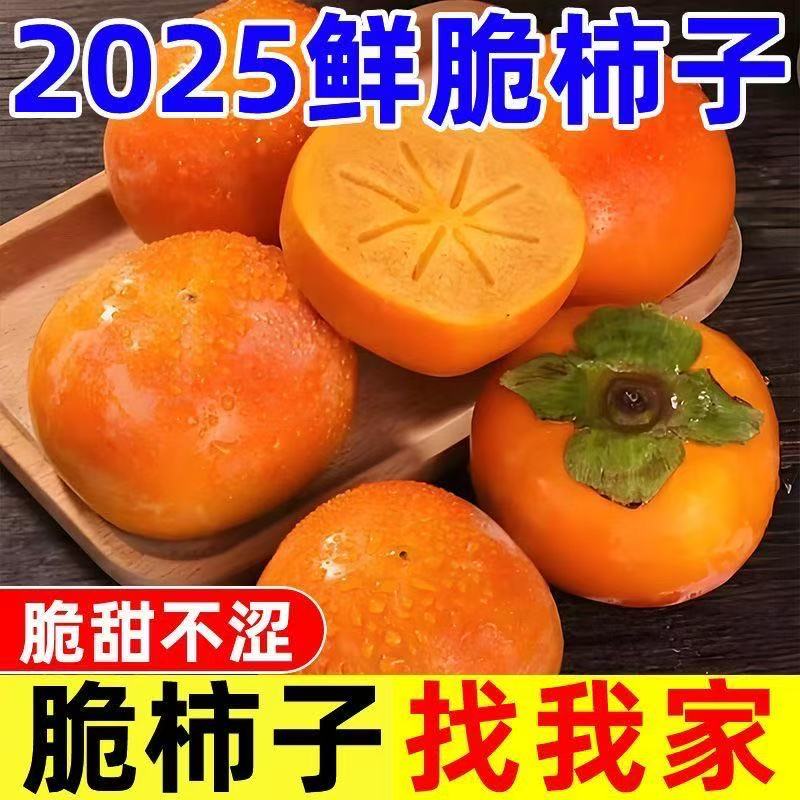 陕西阳丰柿子脆柿子新鲜水果当季正宗硬火晶黄心脆甜柿子现摘