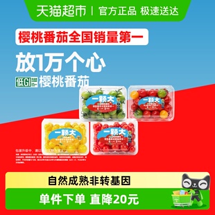 小西红柿香甜爆汁 多彩宝石樱桃番茄精品粒装 一颗大