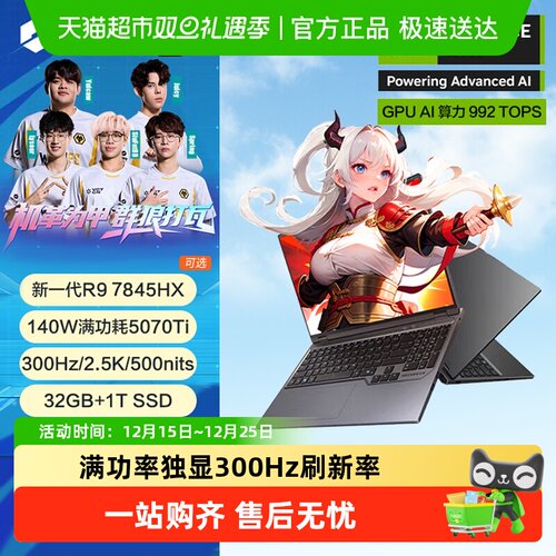 机械革命蛟龙16Pro电竞游戏本