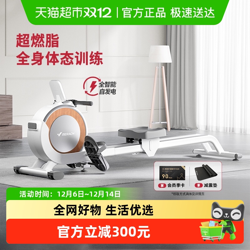 麦瑞克家用运动智能磁控划船机Q1