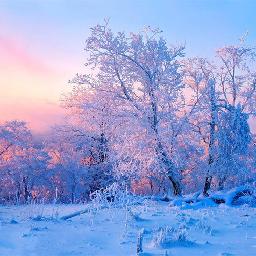 P-6【大牌驾到】