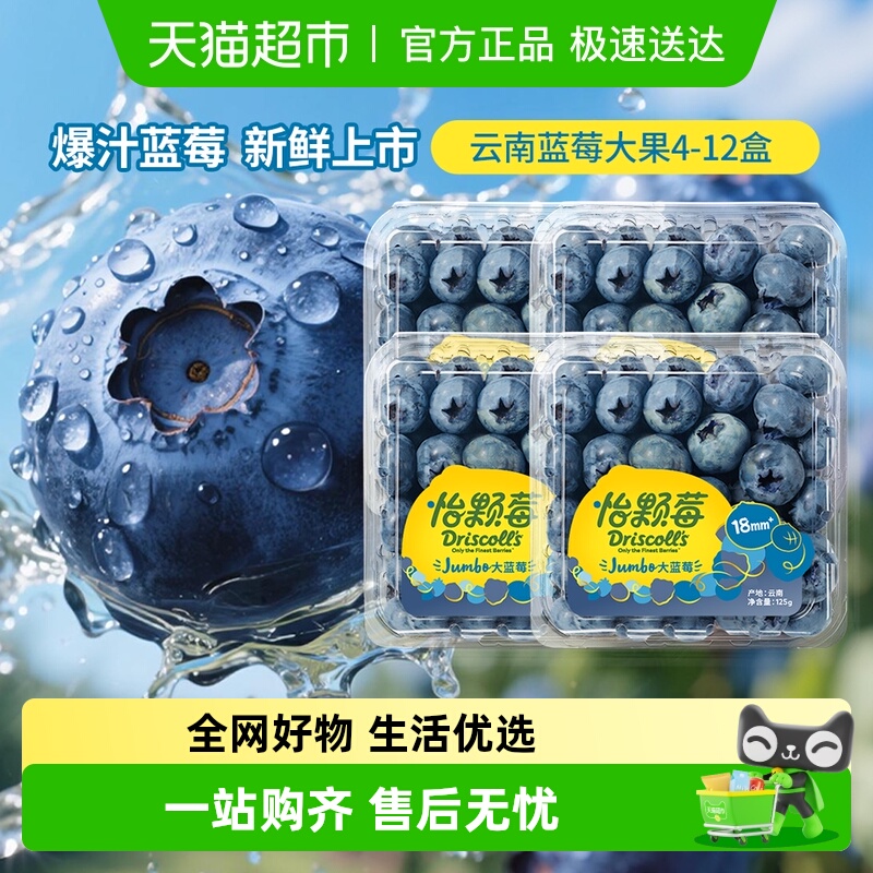 DRISCOLL'S/怡颗莓云南蓝莓