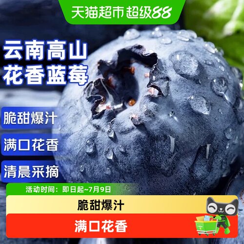 寻天果蔬云南蓝莓