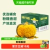 绿行者板栗味贝贝南瓜1500g