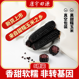 康宇田源黑玉米甜糯玉米新鲜粘玉米含花青素真空包装