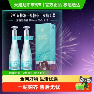 五粮液29度五粮液一见倾心500mL*2